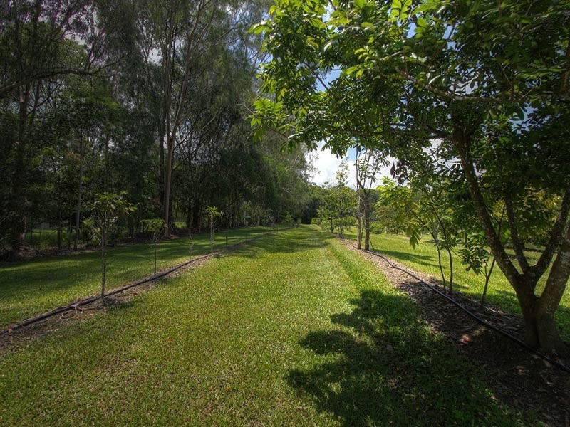 193 Highland Drive, Julatten QLD 4871