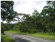 304 Ironbark Road, Daintree QLD 4873