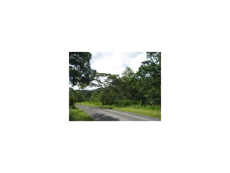 304 Ironbark Road, Daintree QLD 4873