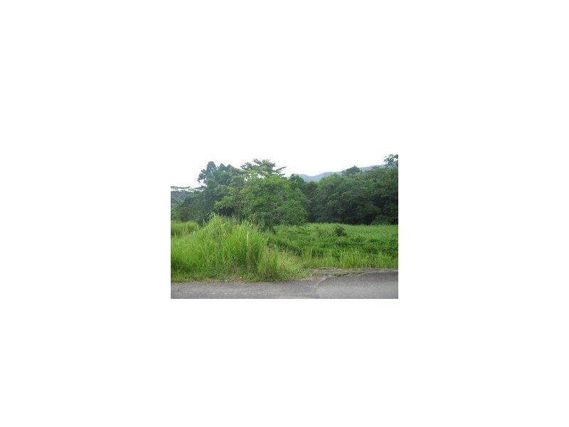 304 Ironbark Road, Daintree QLD 4873