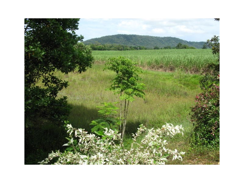 20 Theresa Drive, Mossman QLD 4873