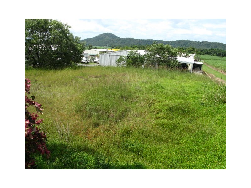 20 Theresa Drive, Mossman QLD 4873