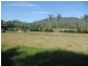 81 Mitre Street, Port Douglas QLD 4877