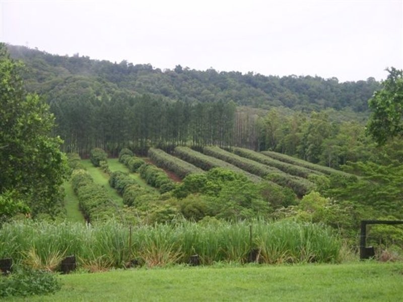 114 Clacherty, Julatten QLD 4871