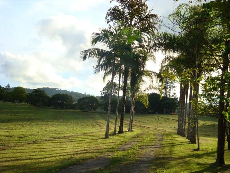 114 Clacherty, Julatten QLD 4871