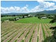 Lot 3 Junction Rd, Mossman QLD 4873