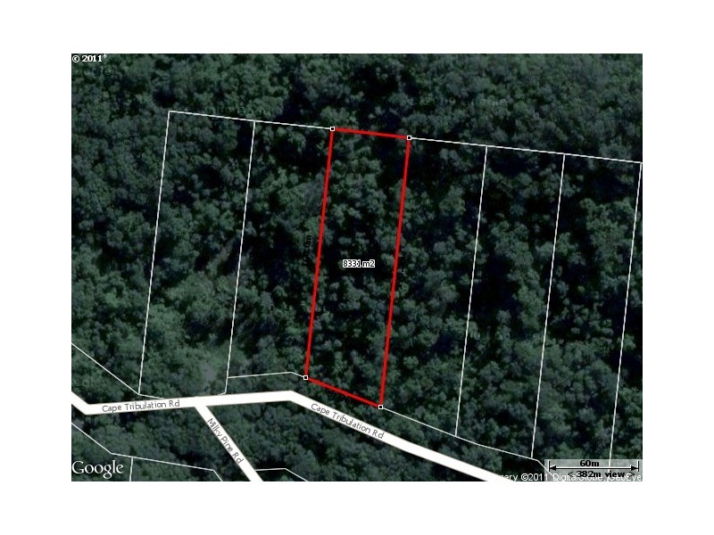 Lot 16 Cape Tribulation Road Forest Creek, Daintree QLD 4873
