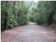 Lot 16 Cape Tribulation Road Forest Creek, Daintree QLD 4873