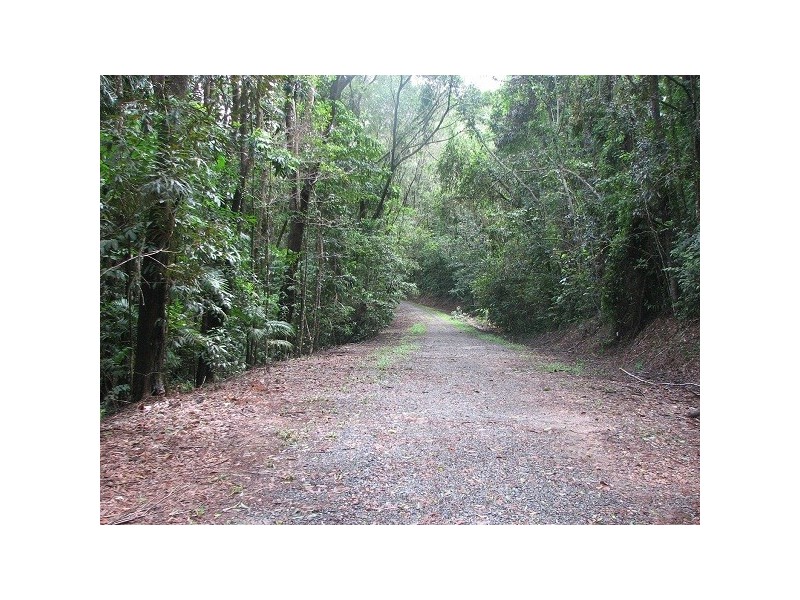 Lot 16 Cape Tribulation Road Forest Creek, Daintree QLD 4873
