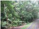 Lot 16 Cape Tribulation Road Forest Creek, Daintree QLD 4873