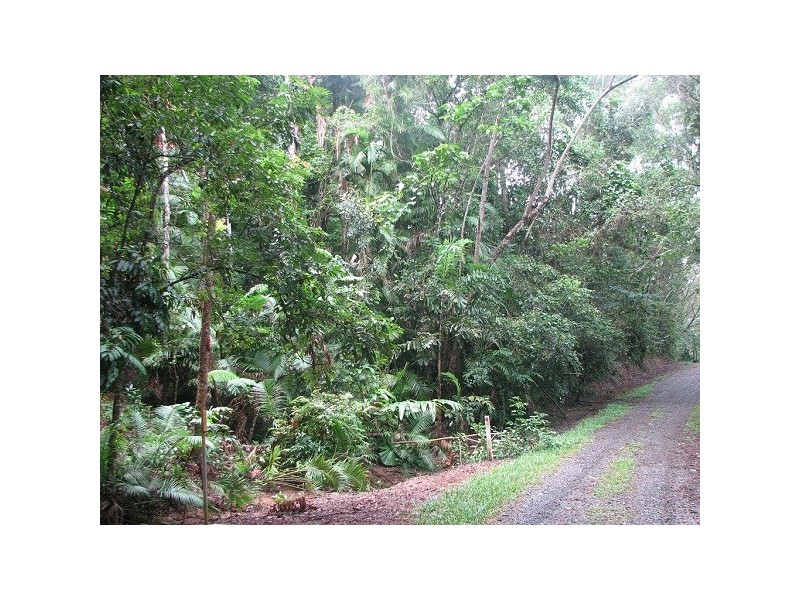 Lot 16 Cape Tribulation Road Forest Creek, Daintree QLD 4873
