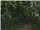 Lot 17 Cape Tribulation road, Forest Creek QLD 4873