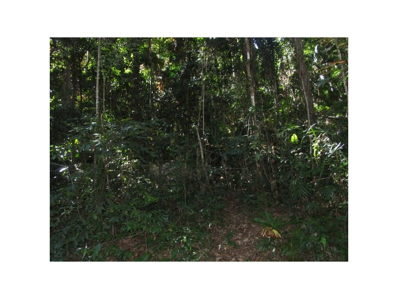 Lot 17 Cape Tribulation road, Forest Creek QLD 4873