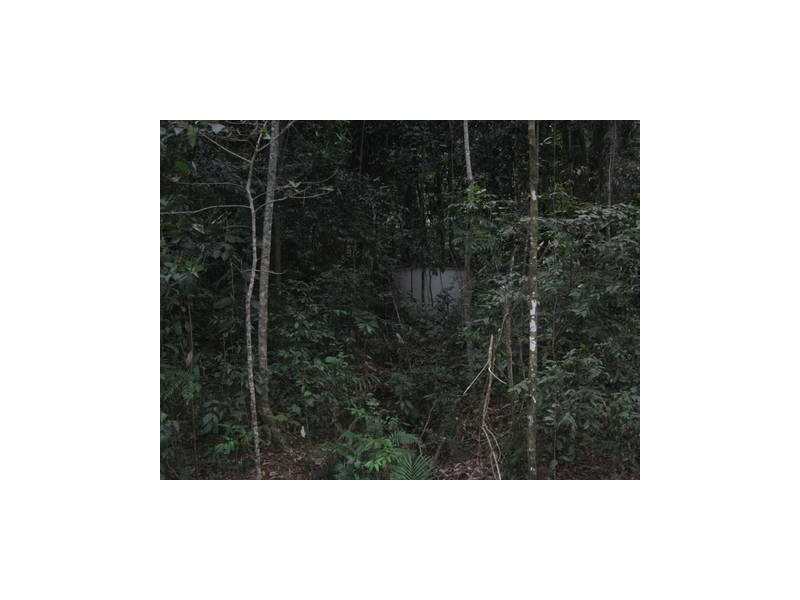 Lot 17 Cape Tribulation road, Forest Creek QLD 4873