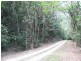 Lot 17 Cape Tribulation road, Forest Creek QLD 4873