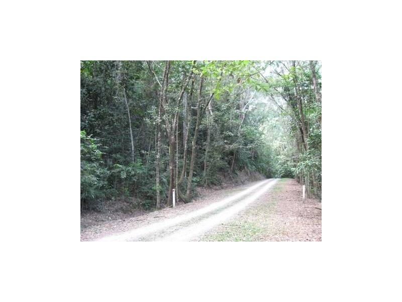 Lot 17 Cape Tribulation road, Forest Creek QLD 4873