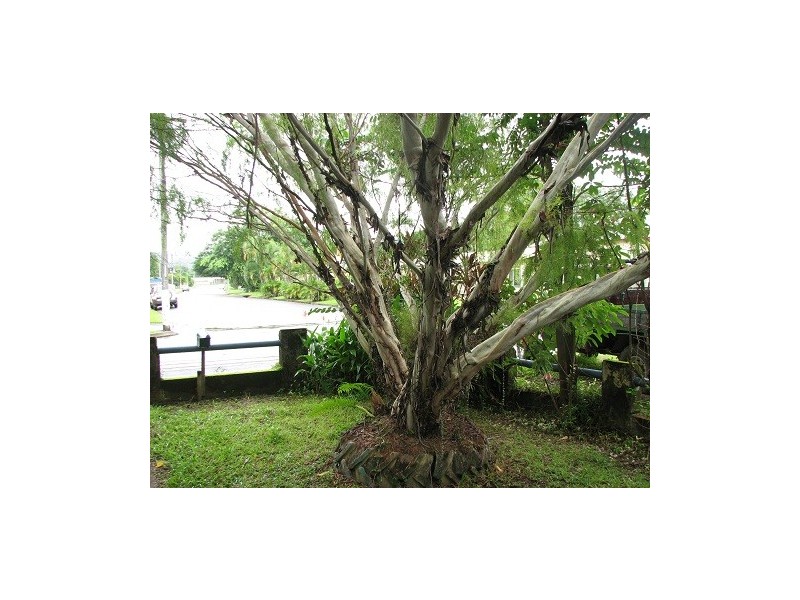 16 Mill Street, Mossman QLD 4873