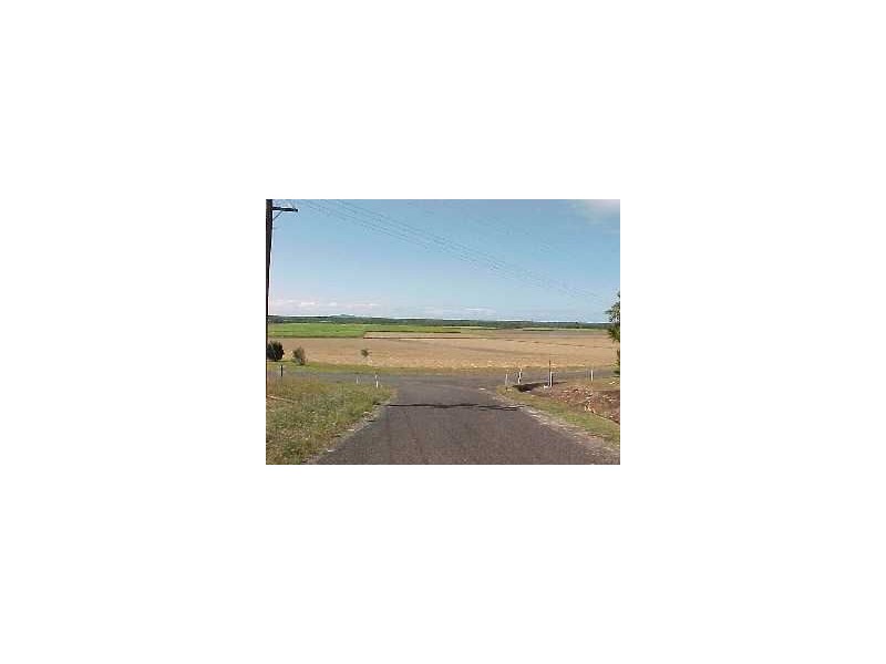 3 Dagmar Close, Lower Daintree QLD 4873