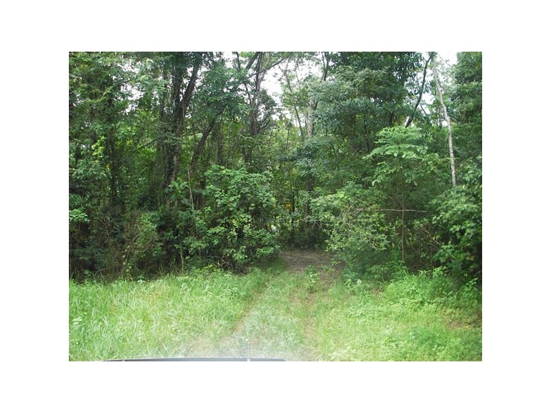 12 Zena Close, Cape Tribulation QLD 4873