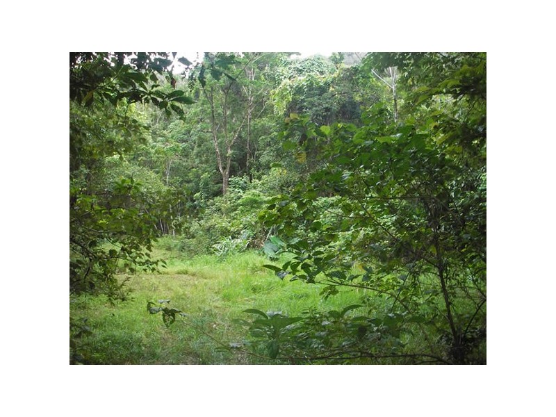 12 Zena Close, Cape Tribulation QLD 4873