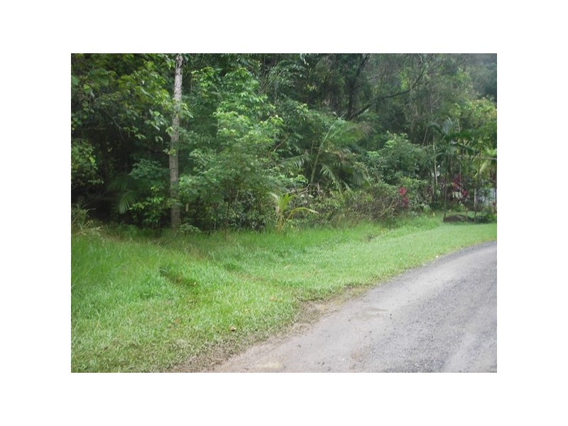 12 Zena Close, Cape Tribulation QLD 4873