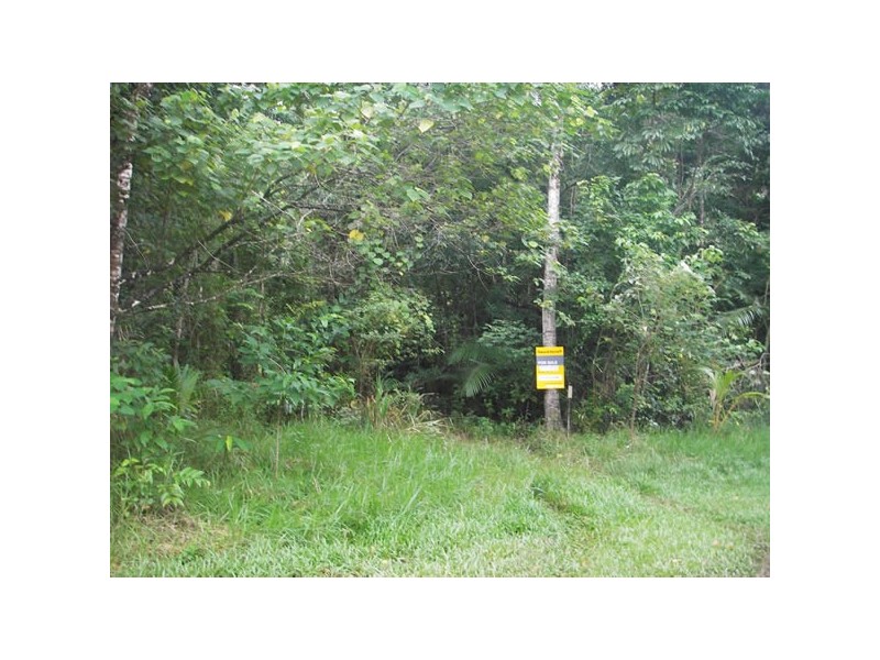 12 Zena Close, Cape Tribulation QLD 4873