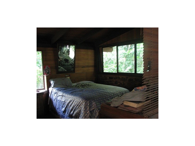 Lot 337 Cape Tribulation Road, Cow Bay QLD 4873