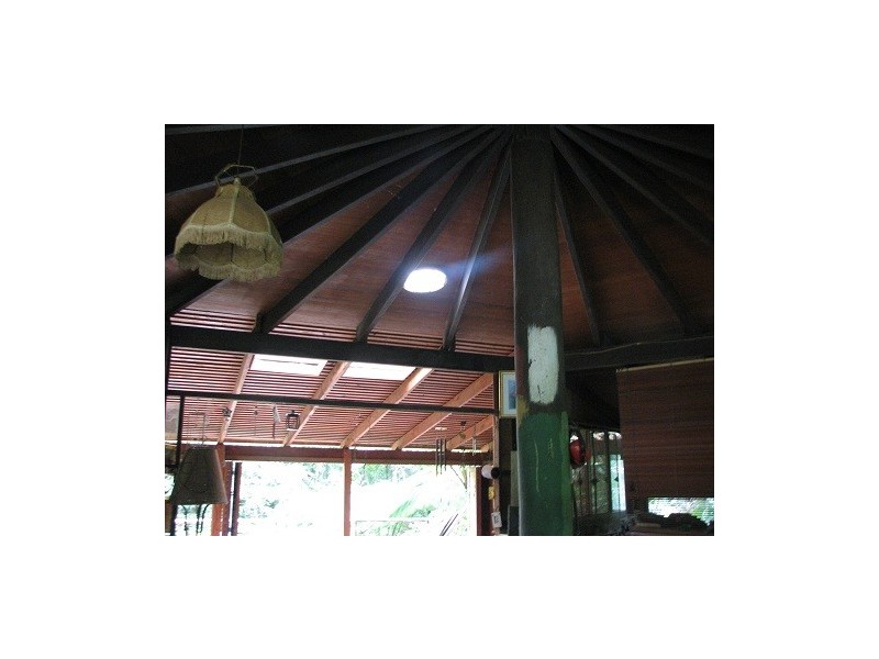 Lot 337 Cape Tribulation Road, Cow Bay QLD 4873