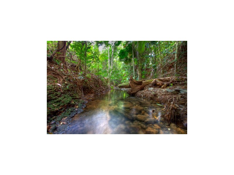 15 Silkwood Road, Cow Bay QLD 4873