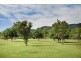 25 Buchanan Creek Road, Cow Bay QLD 4873