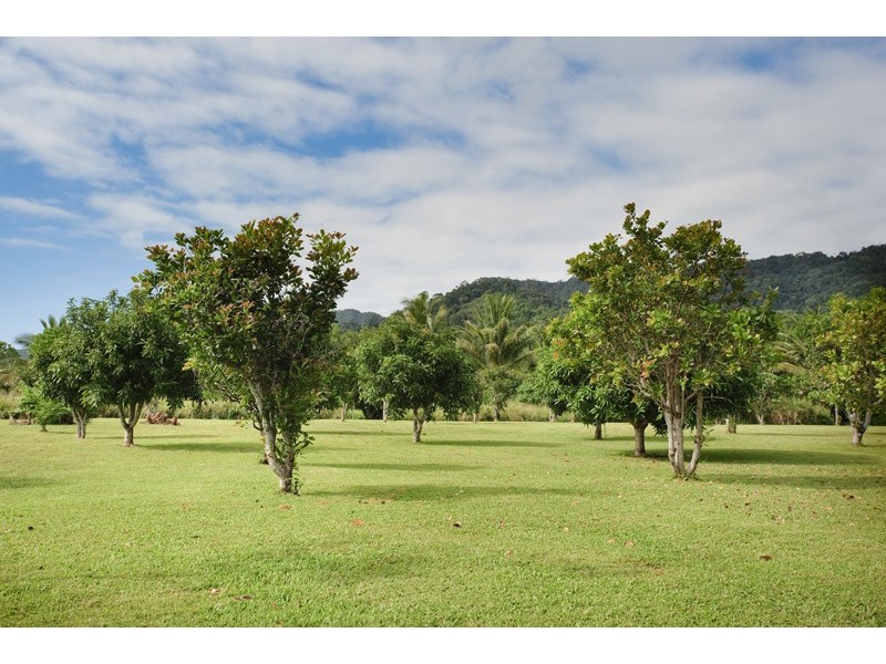 25 Buchanan Creek Road, Cow Bay QLD 4873