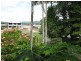 4 Hospital Street, Mossman QLD 4873