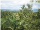 13 Orchid, Port Douglas QLD 4877