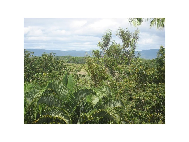 13 Orchid, Port Douglas QLD 4877