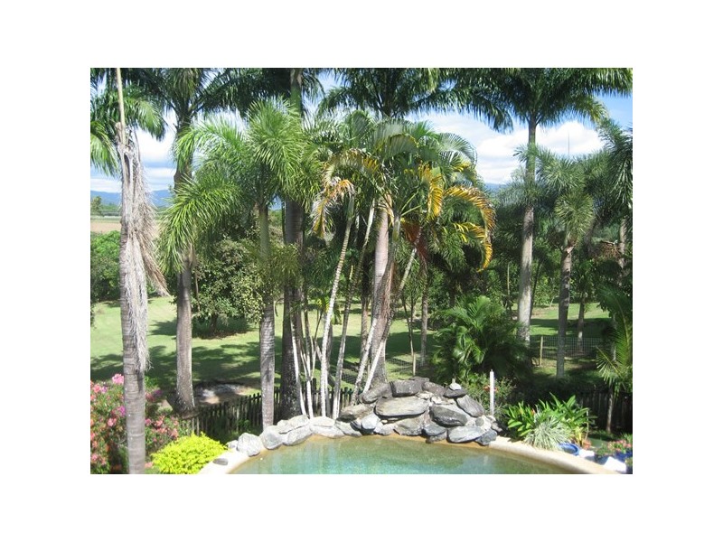 13 Orchid, Port Douglas QLD 4877