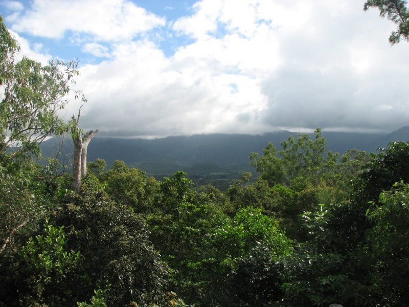 23 Cameron Court, Julatten QLD 4871