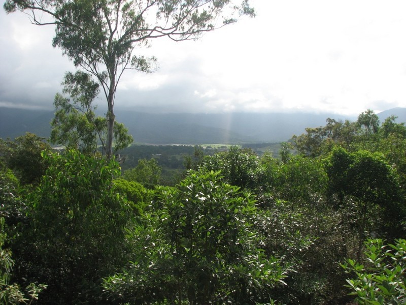 23 Cameron Court, Julatten QLD 4871