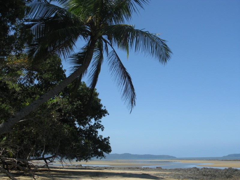 5 Calophyllum Close, Wonga QLD 4873