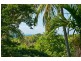 Lot 2  Mossman Daintree Rd, Wonga QLD 4873