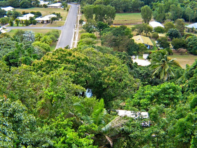 Lot 2  Mossman Daintree Rd, Wonga QLD 4873