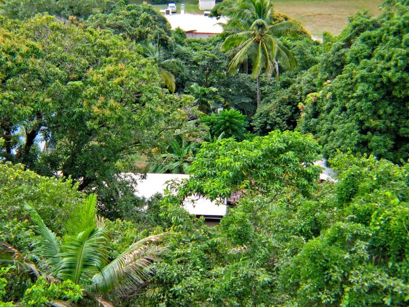 Lot 2  Mossman Daintree Rd, Wonga QLD 4873