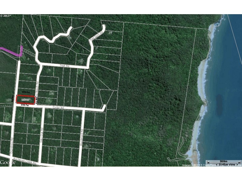 250 White Beech Road COW BAY, Cow Bay QLD 4873