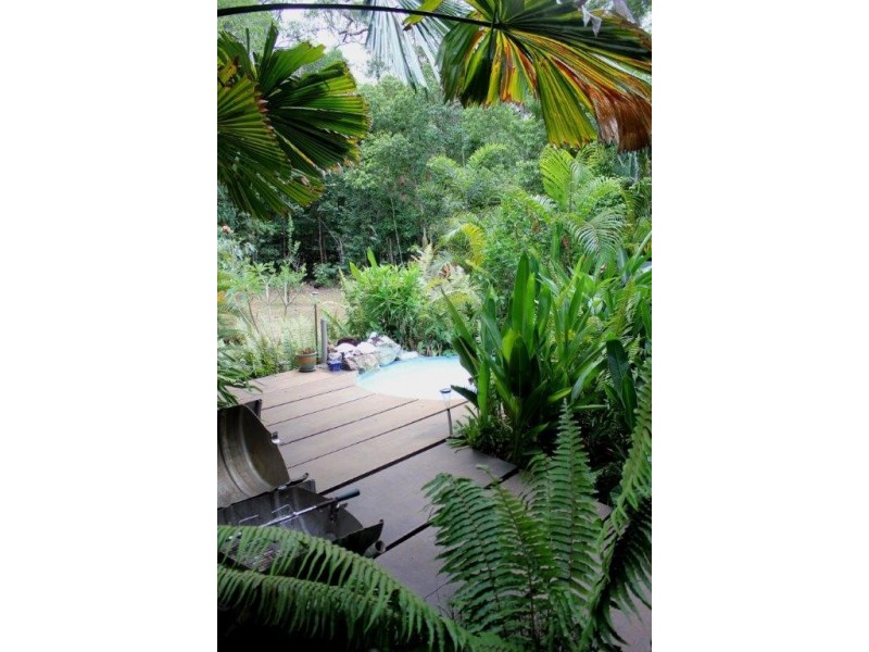 250 White Beech Road COW BAY, Cow Bay QLD 4873