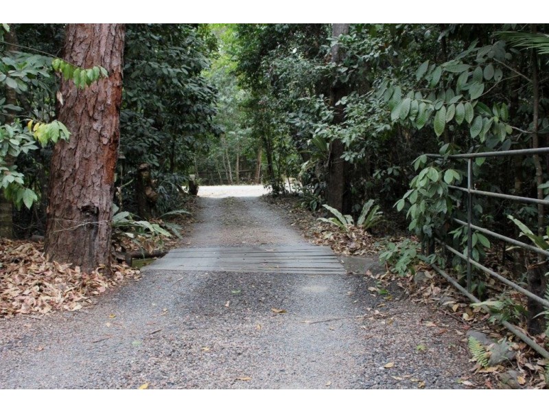 250 White Beech Road COW BAY, Cow Bay QLD 4873