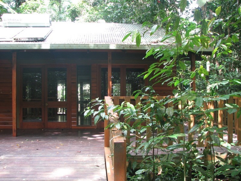 460 Black Bean Road, Cow Bay QLD 4873