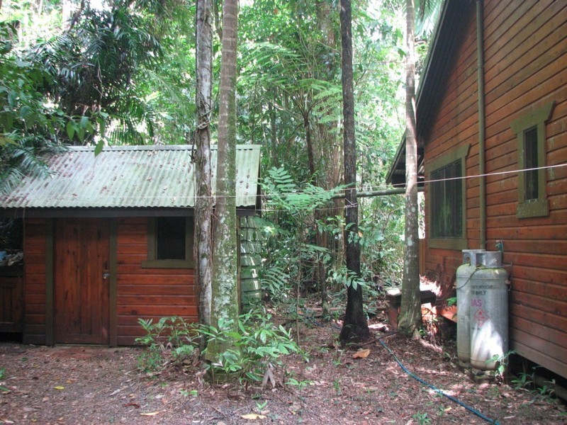460 Black Bean Road, Cow Bay QLD 4873
