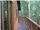 460 Black Bean Road, Cow Bay QLD 4873