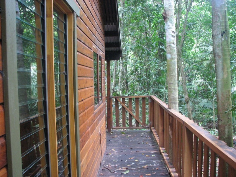 460 Black Bean Road, Cow Bay QLD 4873