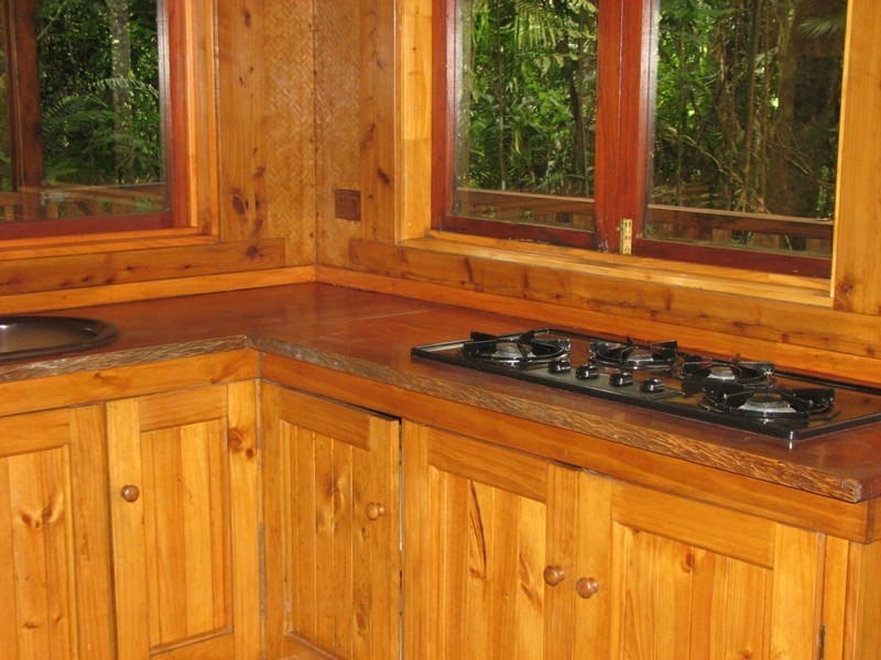 460 Black Bean Road, Cow Bay QLD 4873