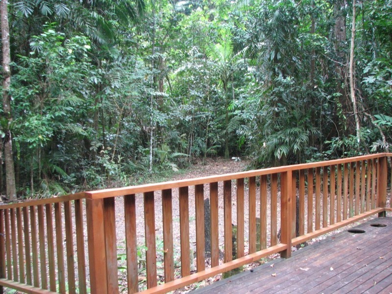 460 Black Bean Road, Cow Bay QLD 4873
